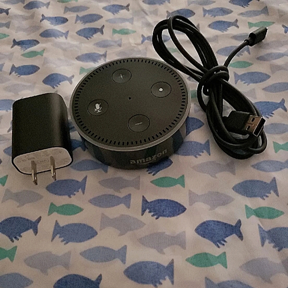 Echo dot